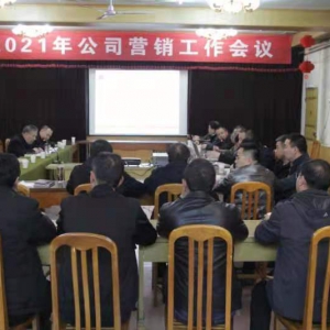 公司召開2021年度營(yíng)銷工作會(huì)議
