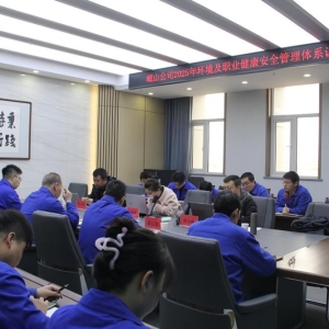 公司順利通過2025年度環境管理體系與職業健康安全管理體系認證 ... ...